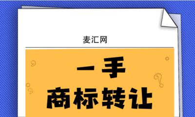 技術(shù)轉(zhuǎn)讓中的知識產(chǎn)權(quán)保護(hù) 聚焦軟件技術(shù)轉(zhuǎn)讓的關(guān)鍵策略與法律考量